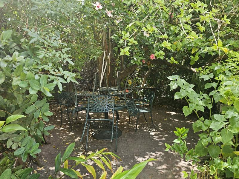 To Let 1 Bedroom Property for Rent in Rondebosch Western Cape